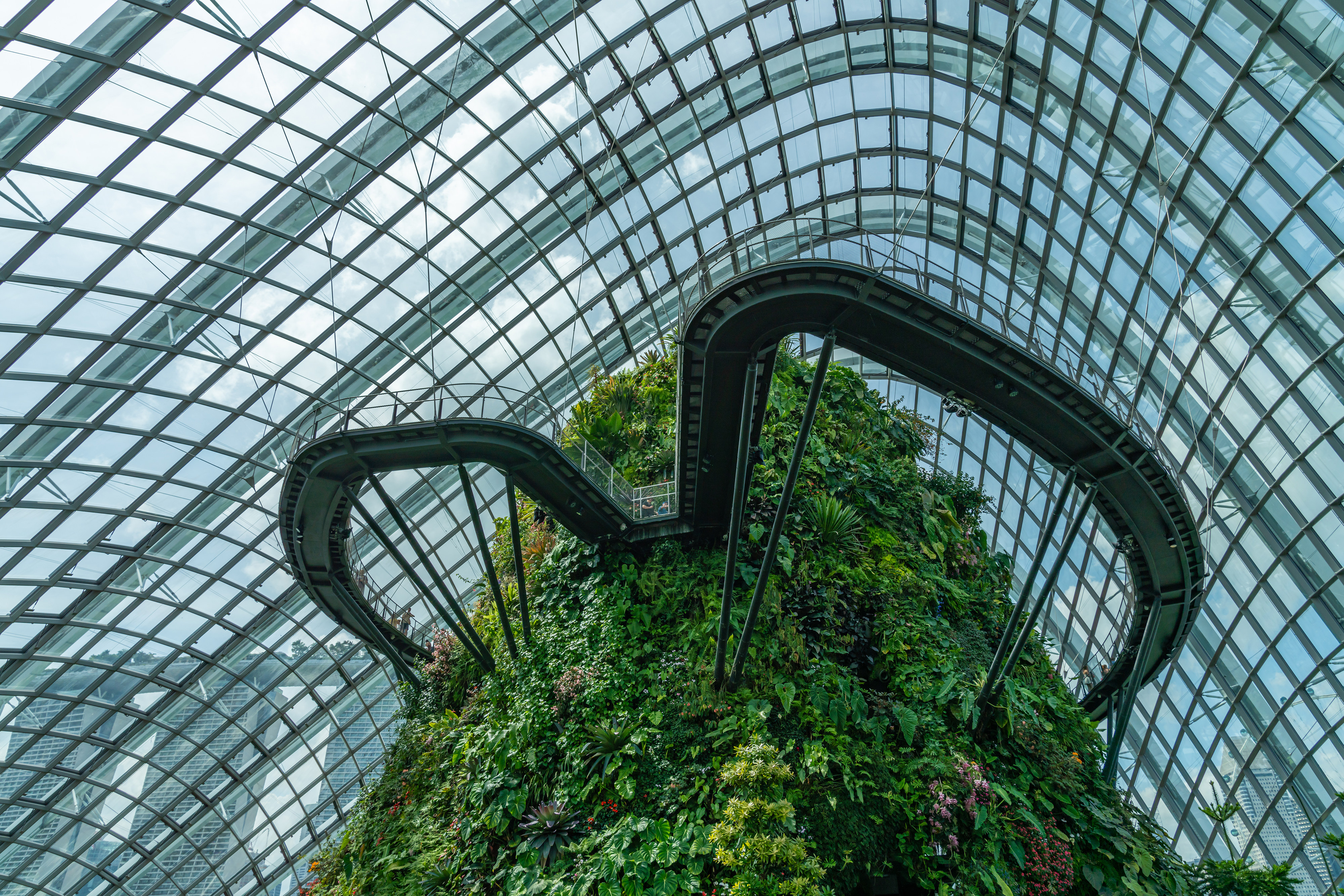 Cloud Forest at the Gardens by the bay
