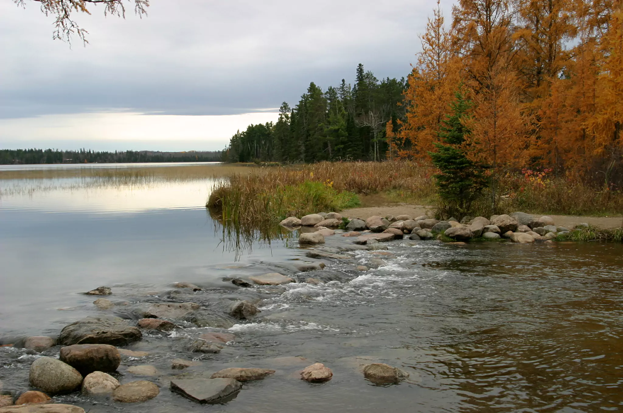 Itasca State Park of the Mississippi River