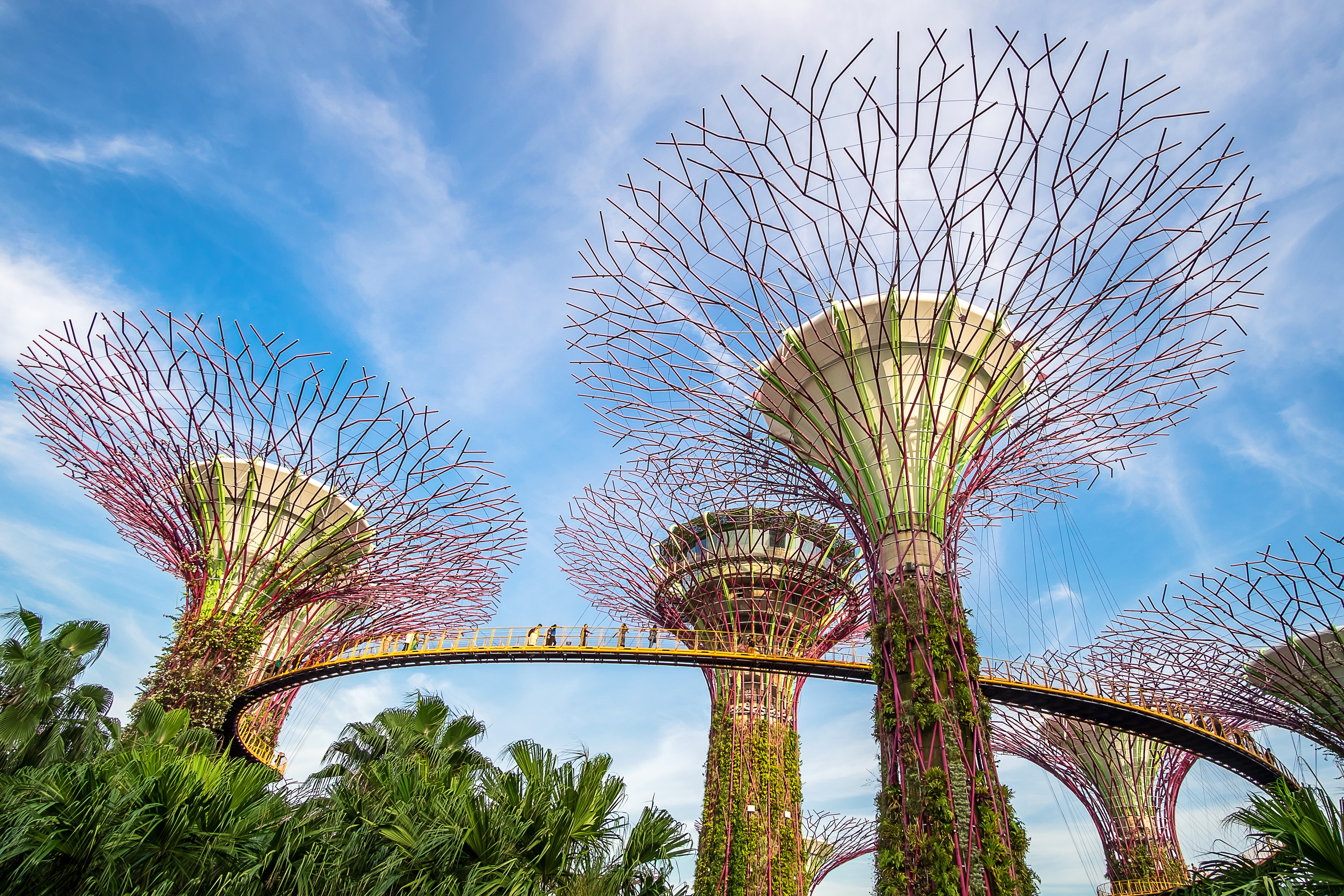 The Supertree grove at gardens by the bay with Marina Bay Sands hotel in Singapore. landmark